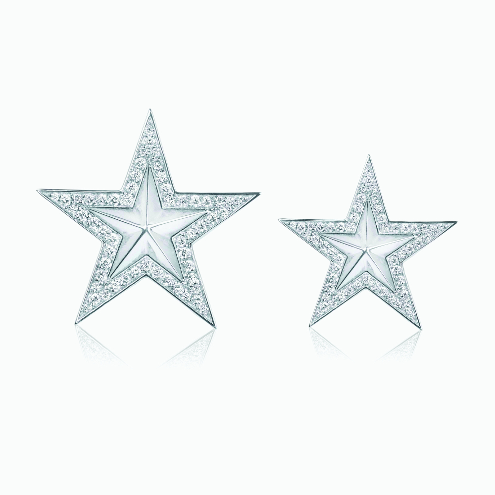 The Star Lapel Pin